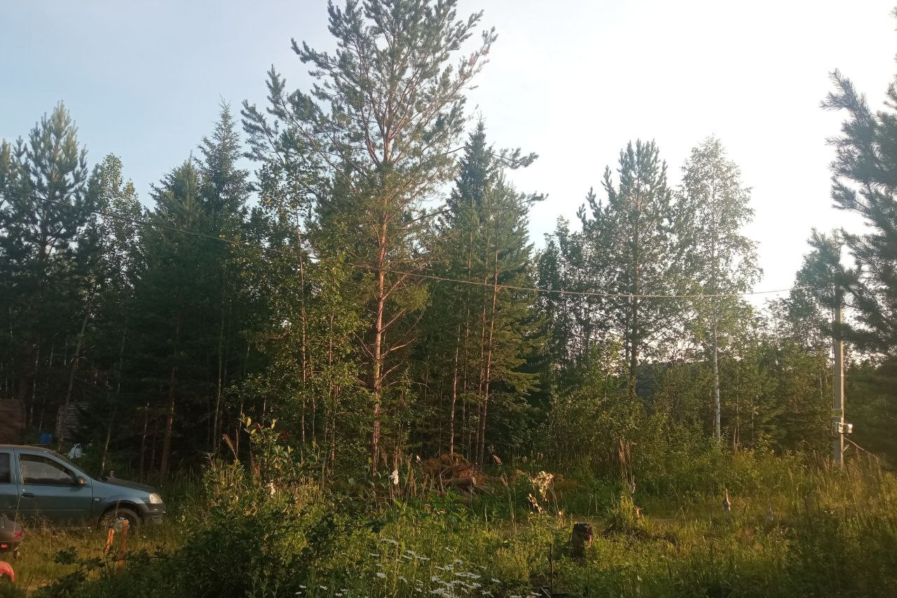 Фото СНТ 2